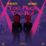 D-Black – Too Much Too Hot Ft. Criss Waddle