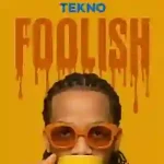 Tekno-Foolish-artwork
