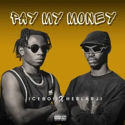 Iceboii-Pay-My-Money-artwork