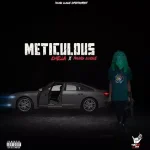 Chella – Meticulous Ft. Young Clique Chella – Meticulous Ft. Young Clique